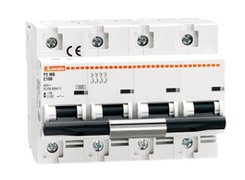 Miniature circuit breaker: 4 x 80, 100, 125 A 10 kA ( Type : C, D ). Lovato Electric